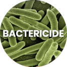 bactericide-mobiwatch